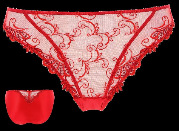 Lise Charmel - Dressing Floral rouge - fancy briefs